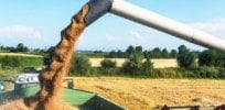 harvesting x