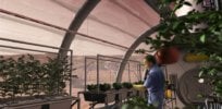 potatoes in space greenhouse
