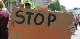 monsanto resize