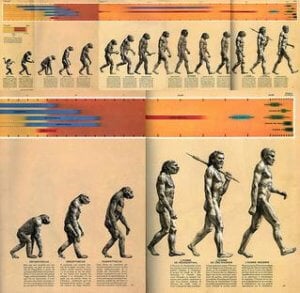 The March of Progress The March of Progress