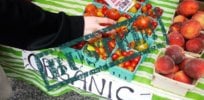 vegetables busted
