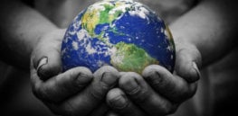 Where are GMO crops and animals approved and banned?