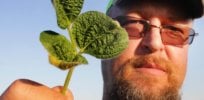 dicamba