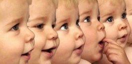 human cloning