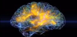 https://content.geneticliteracyproject.org/wp-content/uploads/2020/03/https-blogs-images-forbes-com-kevinmurnane-files-electric-brain-x--263x129.jpg