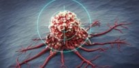 new drug combo could help immune cells target and destroy cancer cells