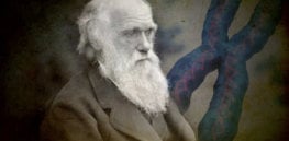 darwin got wrong feature x