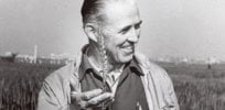 hunger borlaug x