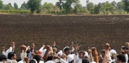 bl htbtcotton