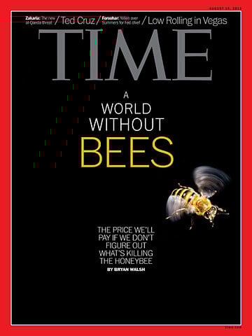 cover cover