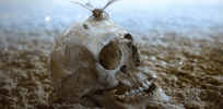Contemplating human extinction