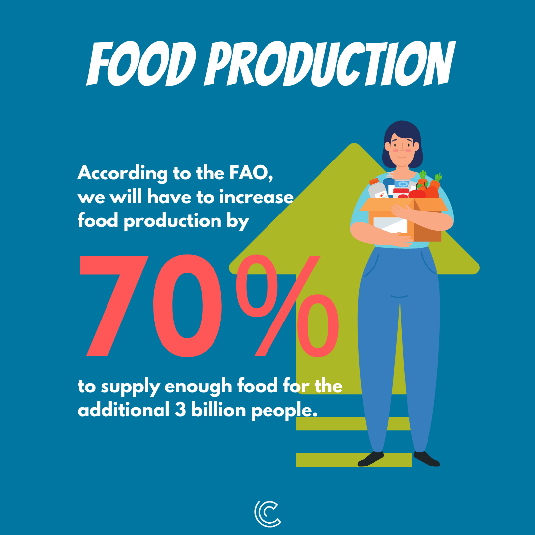 produção de alimentos