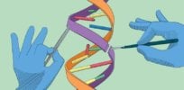 genome editing ria
