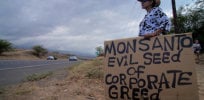 monsanto evil seed ianmackenz
