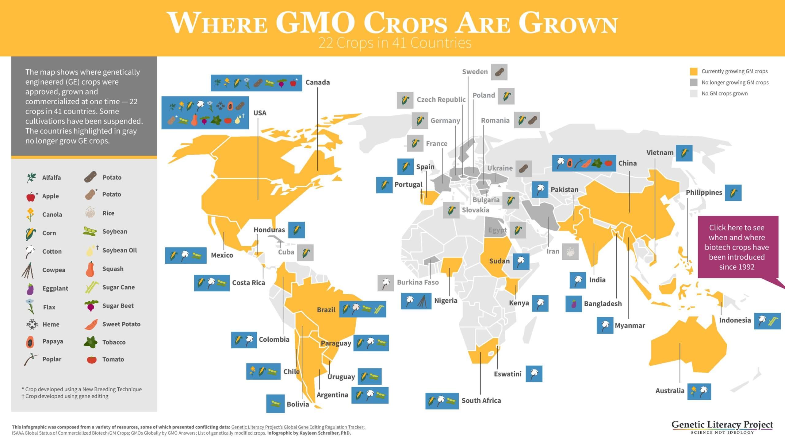 Where are GMO crops and animals approved and banned? | Genetic Literacy