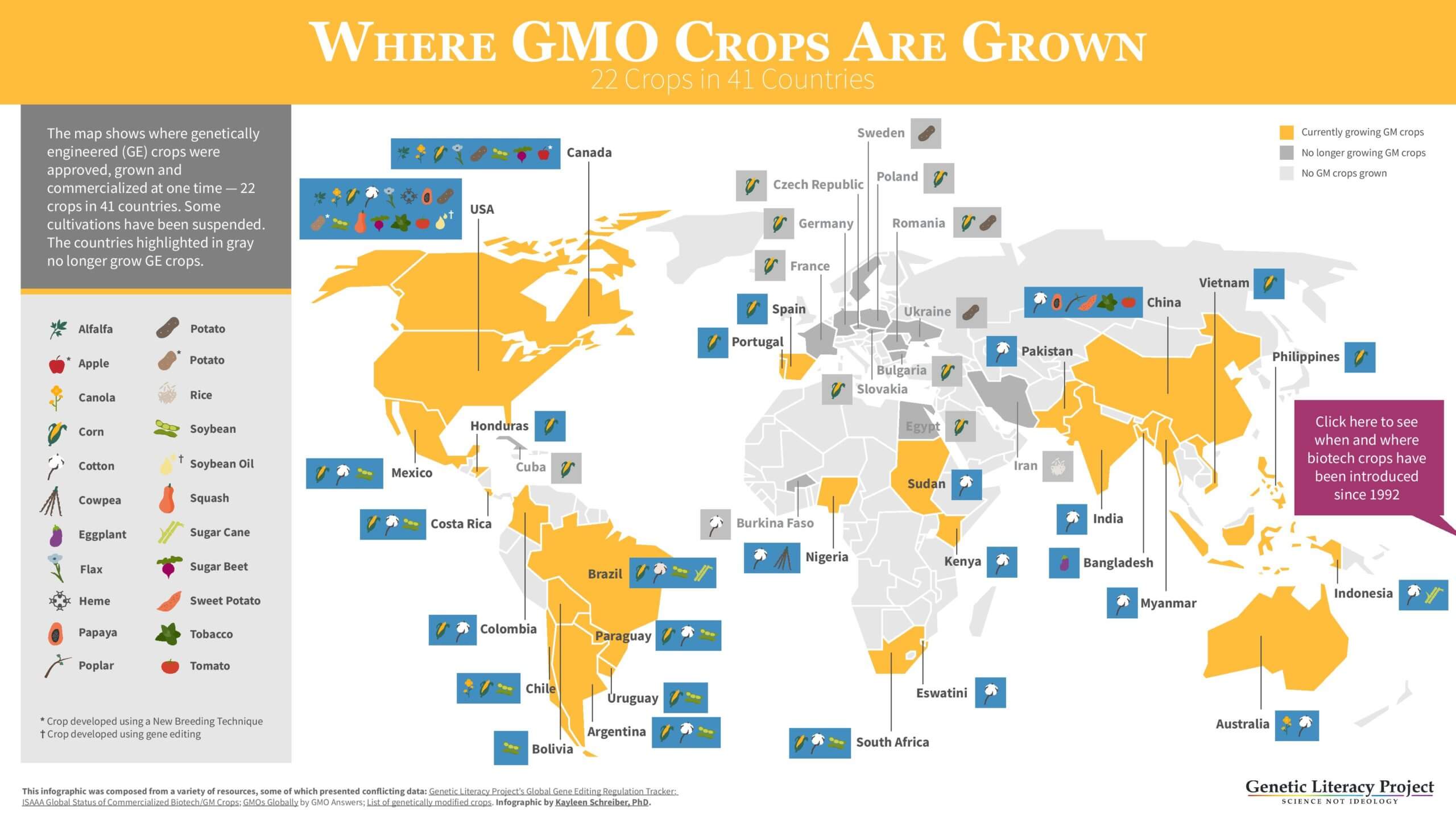 Where Are Gmo Crops And Animals Approved And Banned Genetic Literacy Project