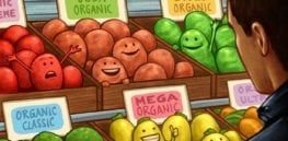 Viewpoint: Why organic farming won't help preserve the world's biodiversity