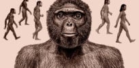 How the fossils ‘Lucy’ and “Ardi’ changed our understanding of human history