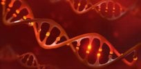 Cursed by sickle cell: A single letter in one gene spells a lifetime of pain for 20 million people — but socioeconomic status affects outcomes