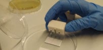 Biological machine: ‘Living computer’ made by printing cells on paper
