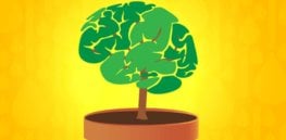 Regrowing brain tissue? With the help of gene therapy, stroke victims can recover motor function